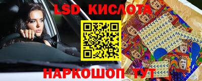 дмт Аргун