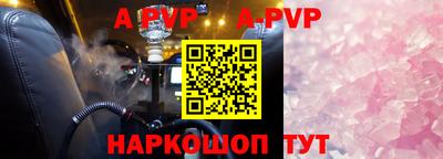 дмт Аргун