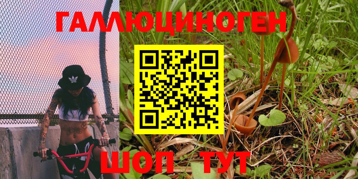 Псилоцибиновые грибы мухоморы  Вход с VPN  Асино 