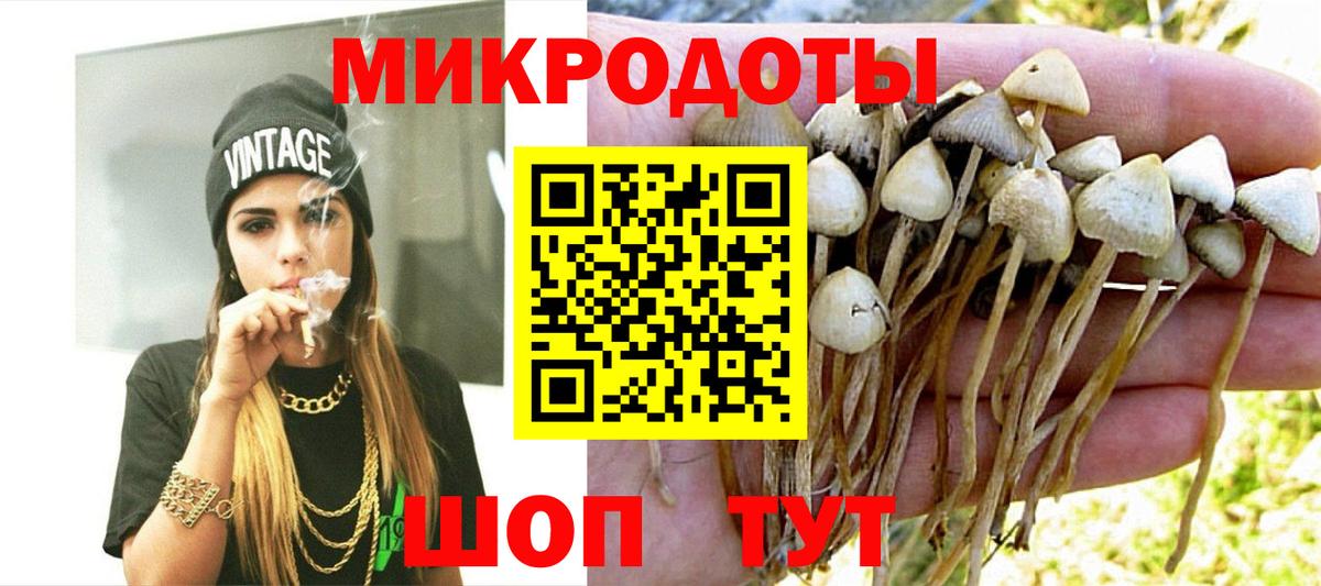 Галлюциногенные грибы Magic Shrooms Асино
